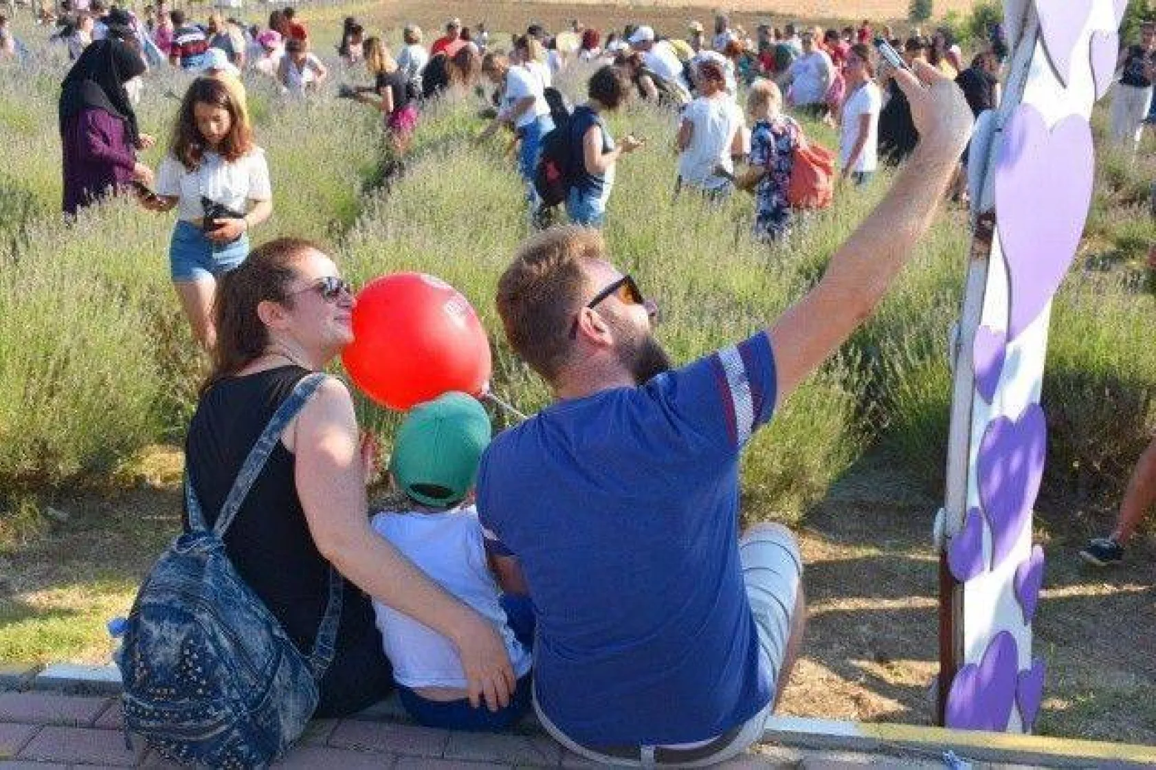Silivri'de Görkemli Lavanta Şenliği