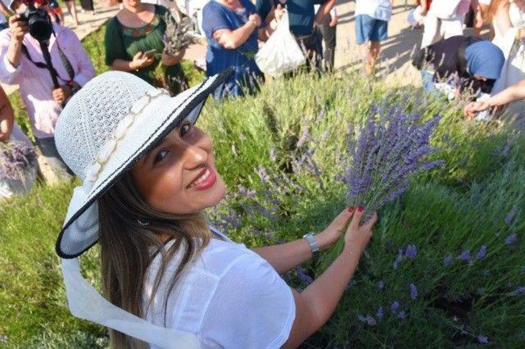 Silivri'de Görkemli Lavanta Şenliği