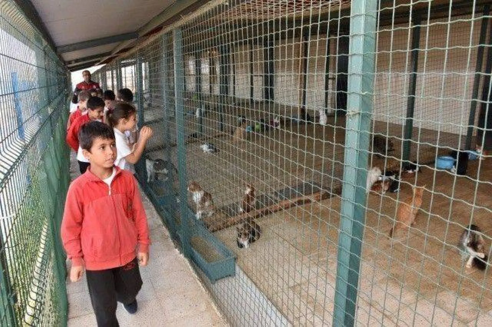 Minikler Can Dostlarımızı Çok Sevdi