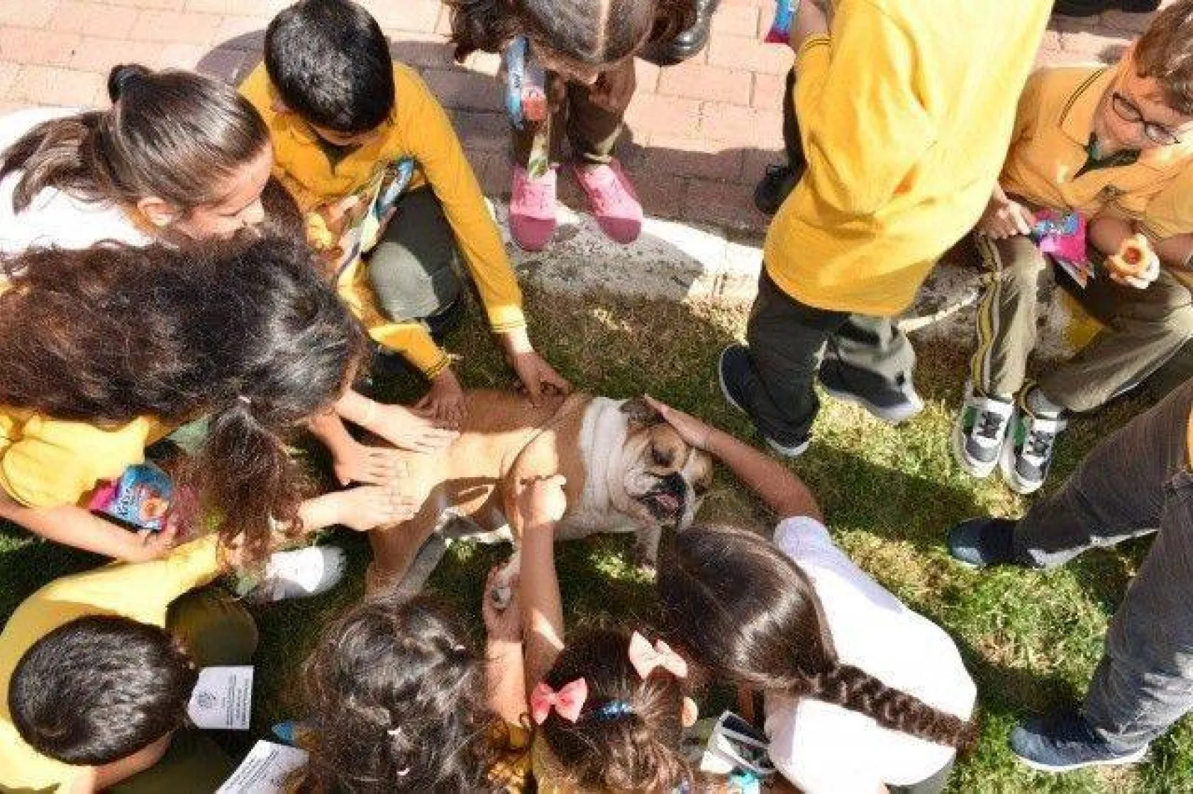 Minikler Can Dostlarımızı Çok Sevdi