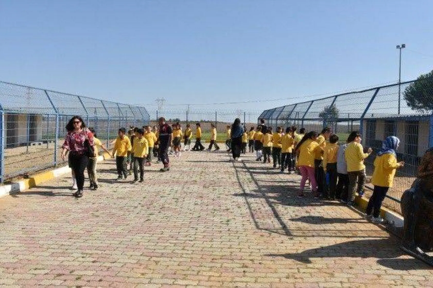 Minikler Can Dostlarımızı Çok Sevdi