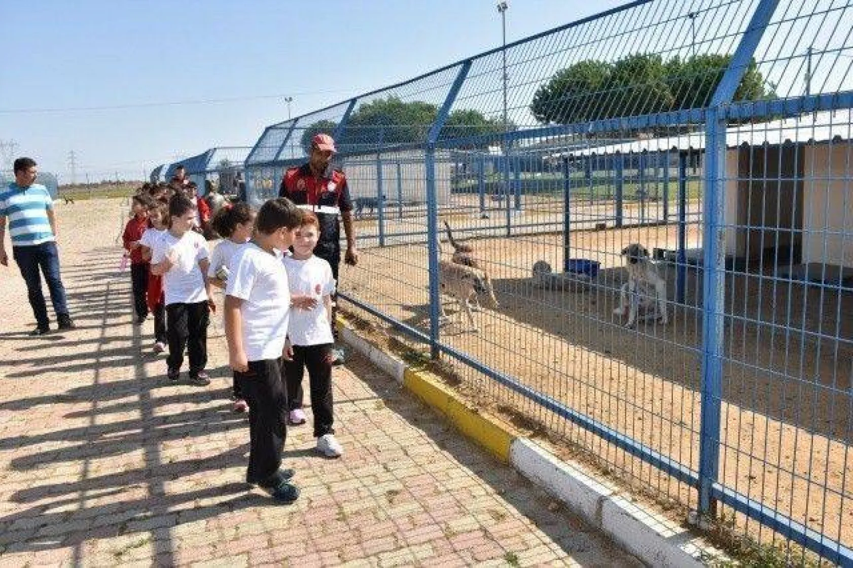 Minikler Can Dostlarımızı Çok Sevdi