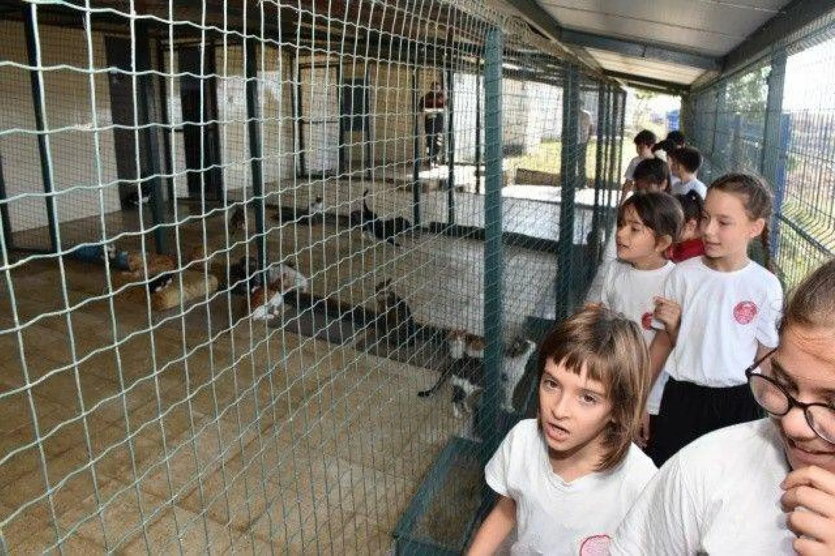 Minikler Can Dostlarımızı Çok Sevdi