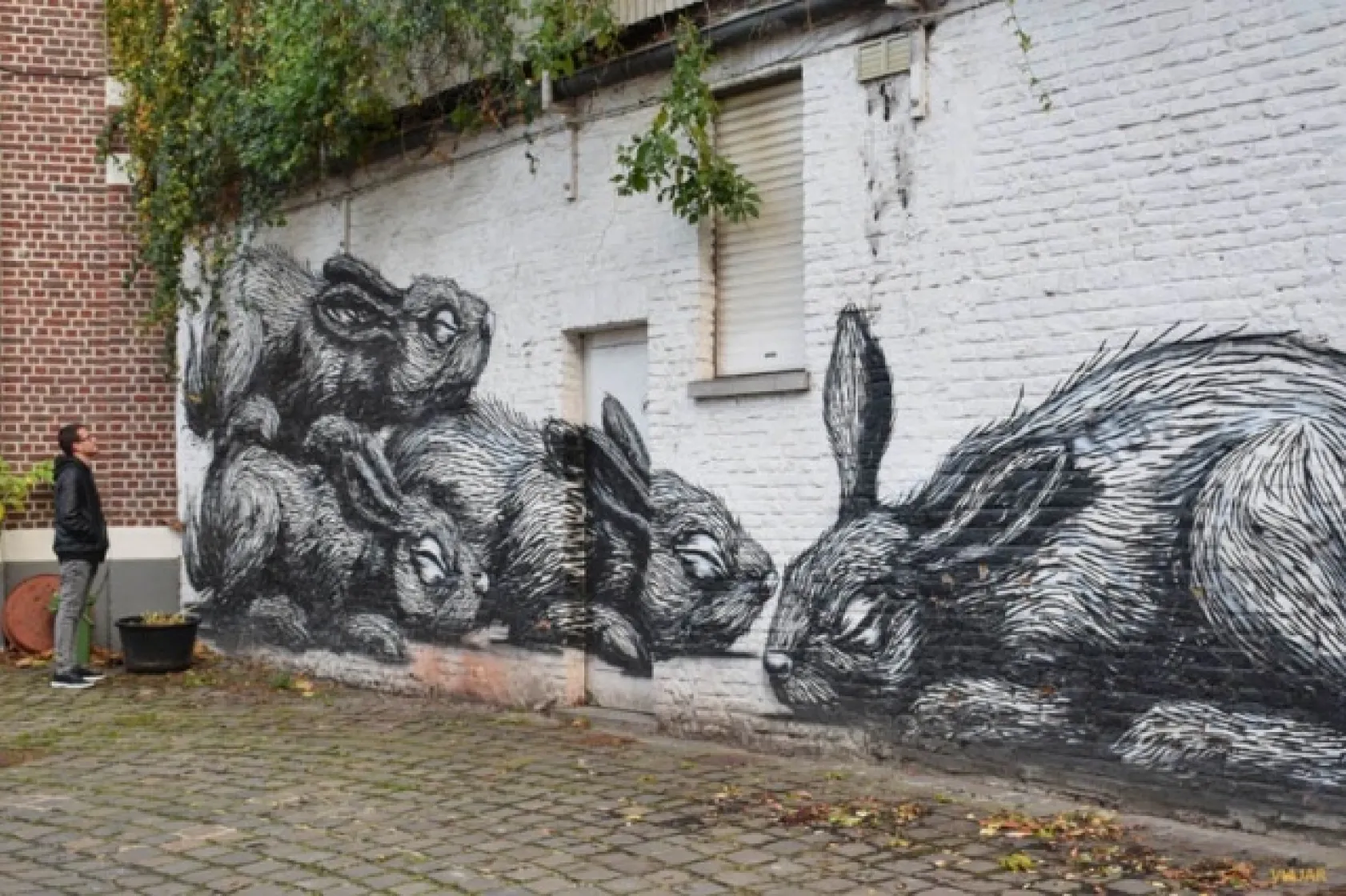 Sokak sanatçıların göz kamaştıran sanatı