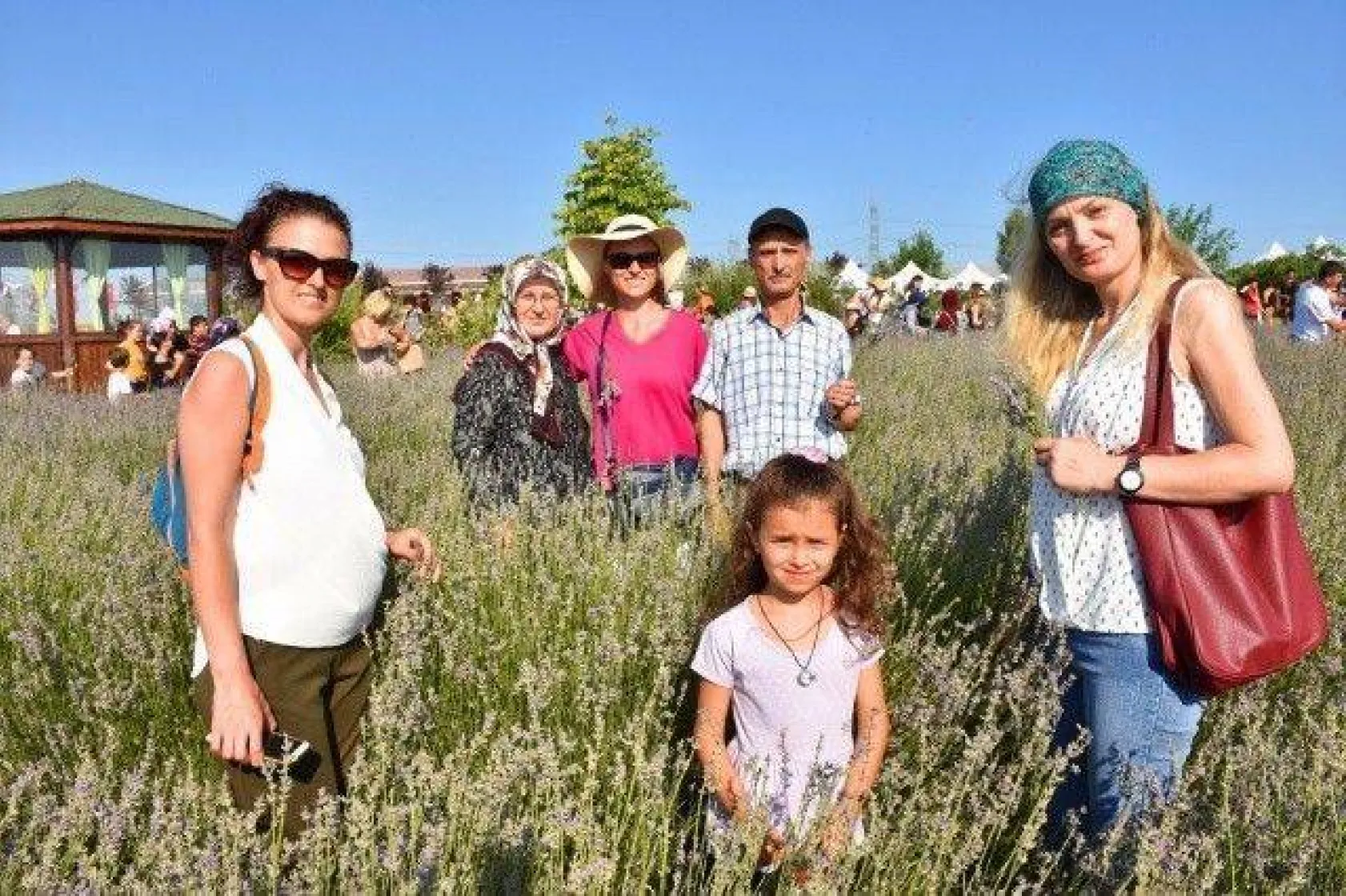 Silivri'de Görkemli Lavanta Şenliği