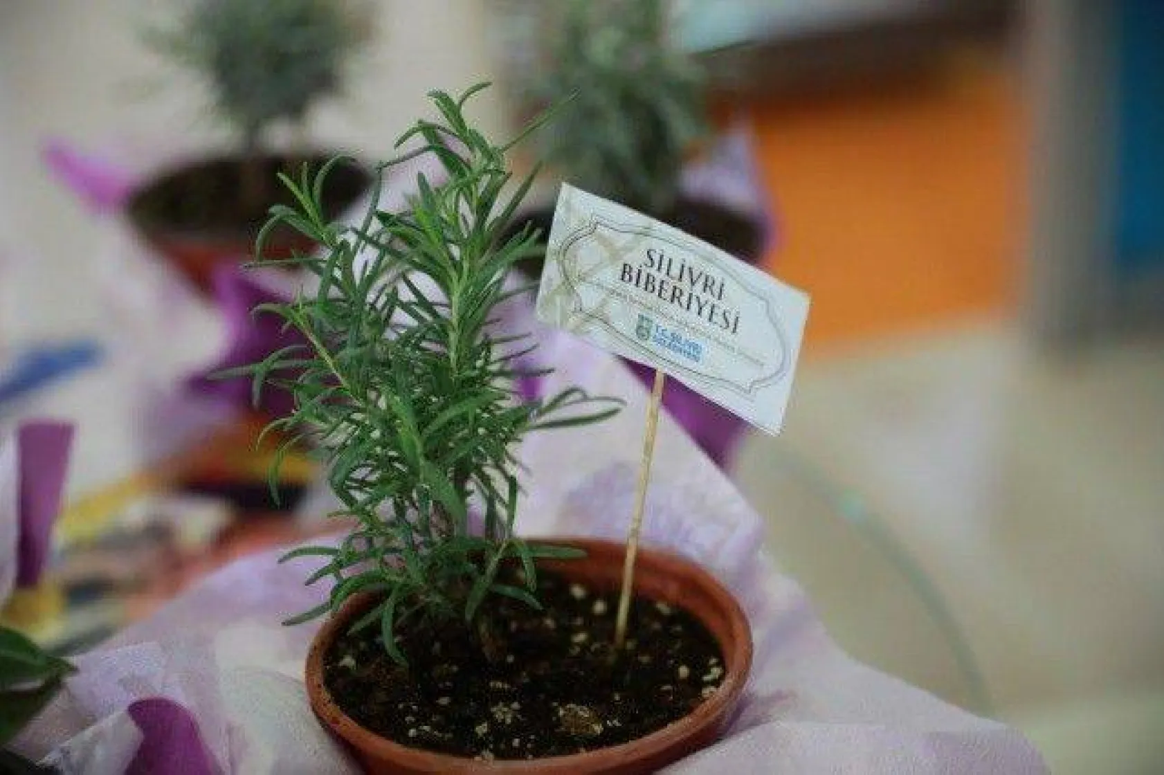 Uluslararası Fuarda Silivri Belediyesi'ne Yoğun İlgi