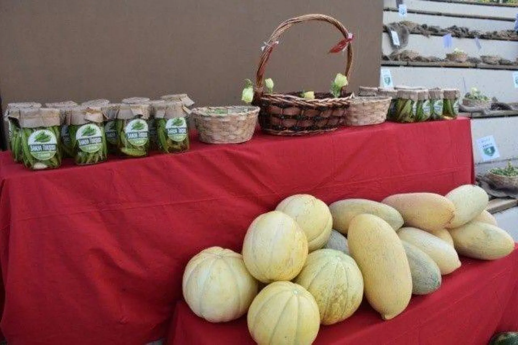Silivri'de En İyi Kavun ve Bamya Üreticileri Yarıştı
