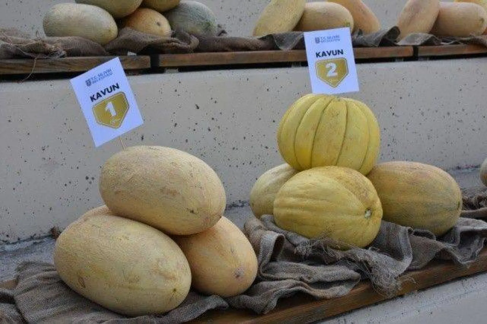 Silivri'de En İyi Kavun ve Bamya Üreticileri Yarıştı