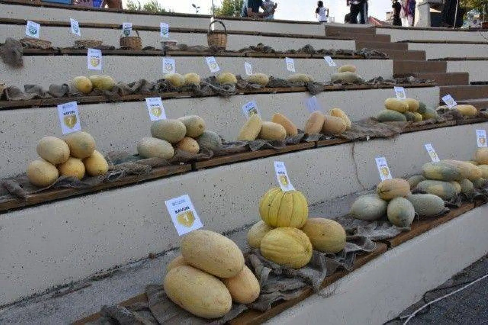 Silivri'de En İyi Kavun ve Bamya Üreticileri Yarıştı