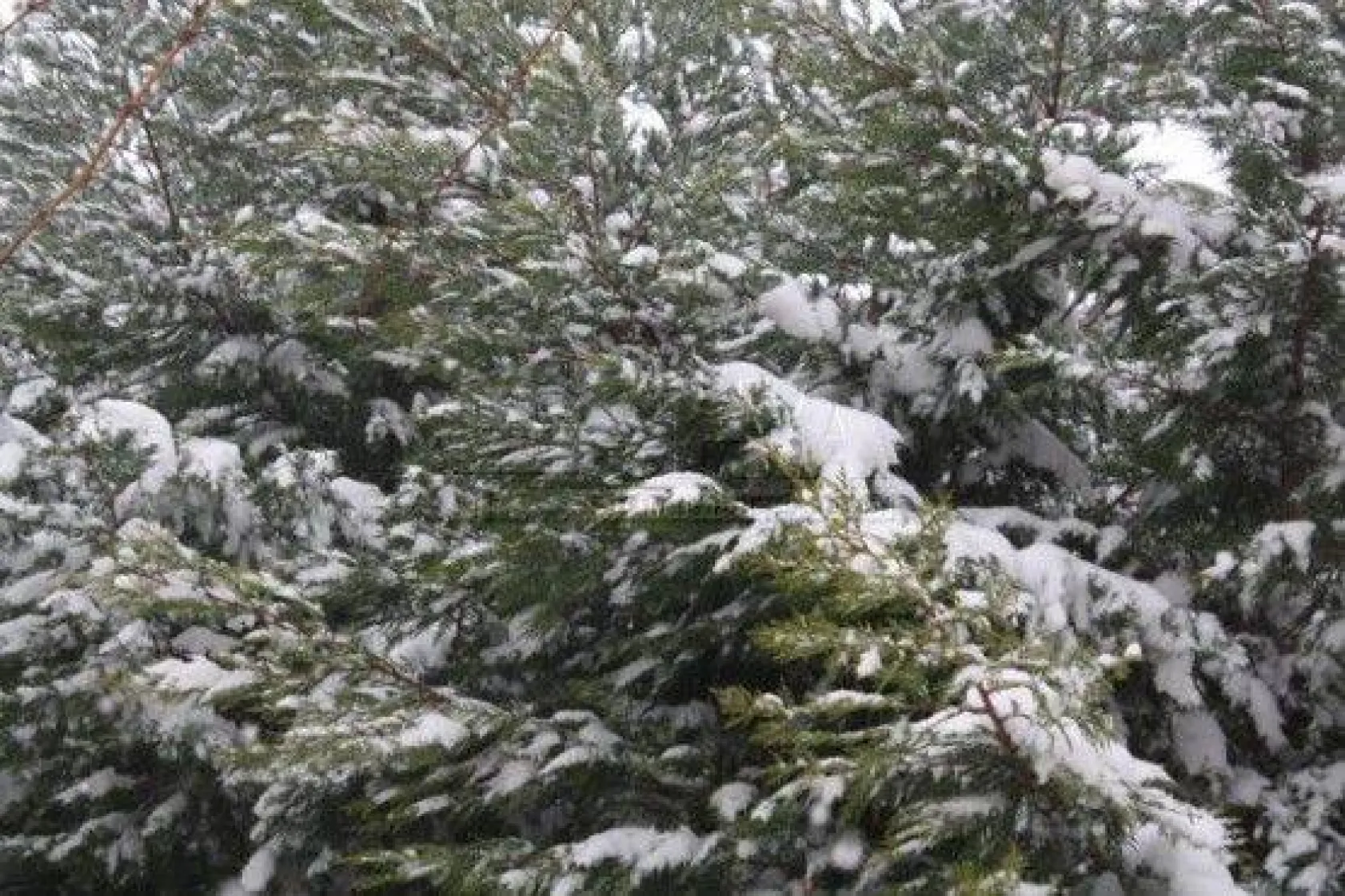 Silivri Beyaza Büründü