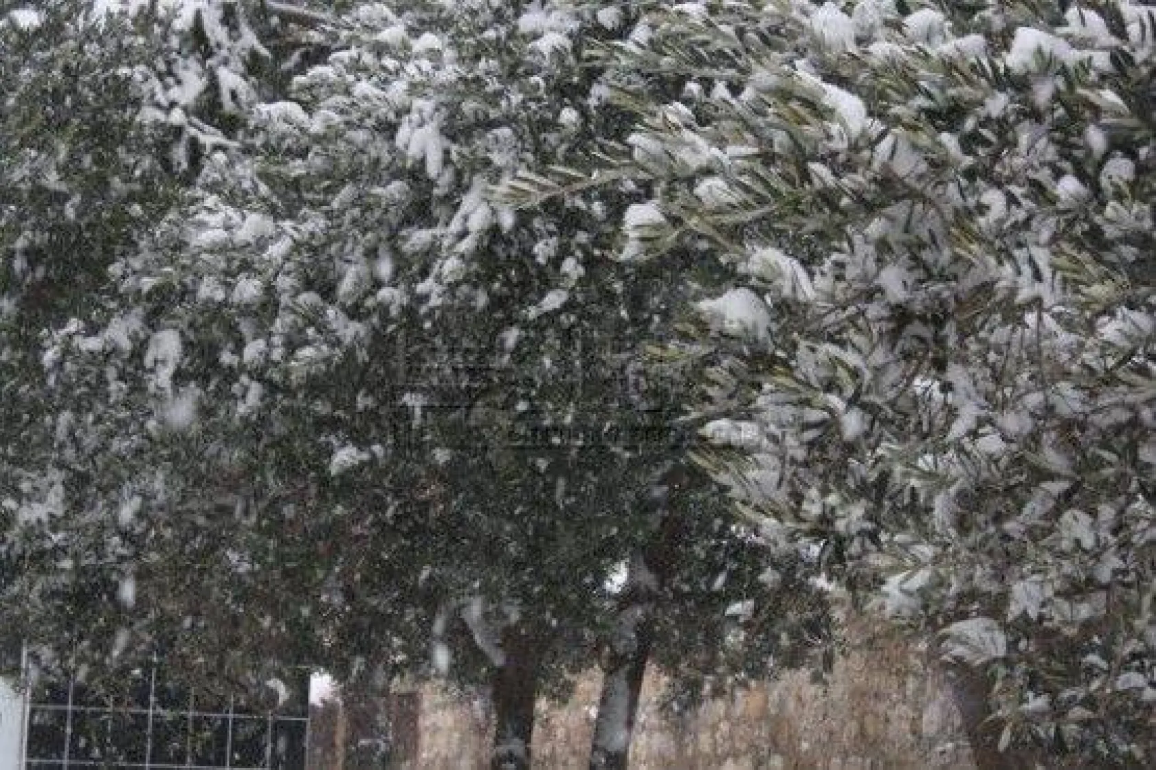 Silivri Beyaza Büründü