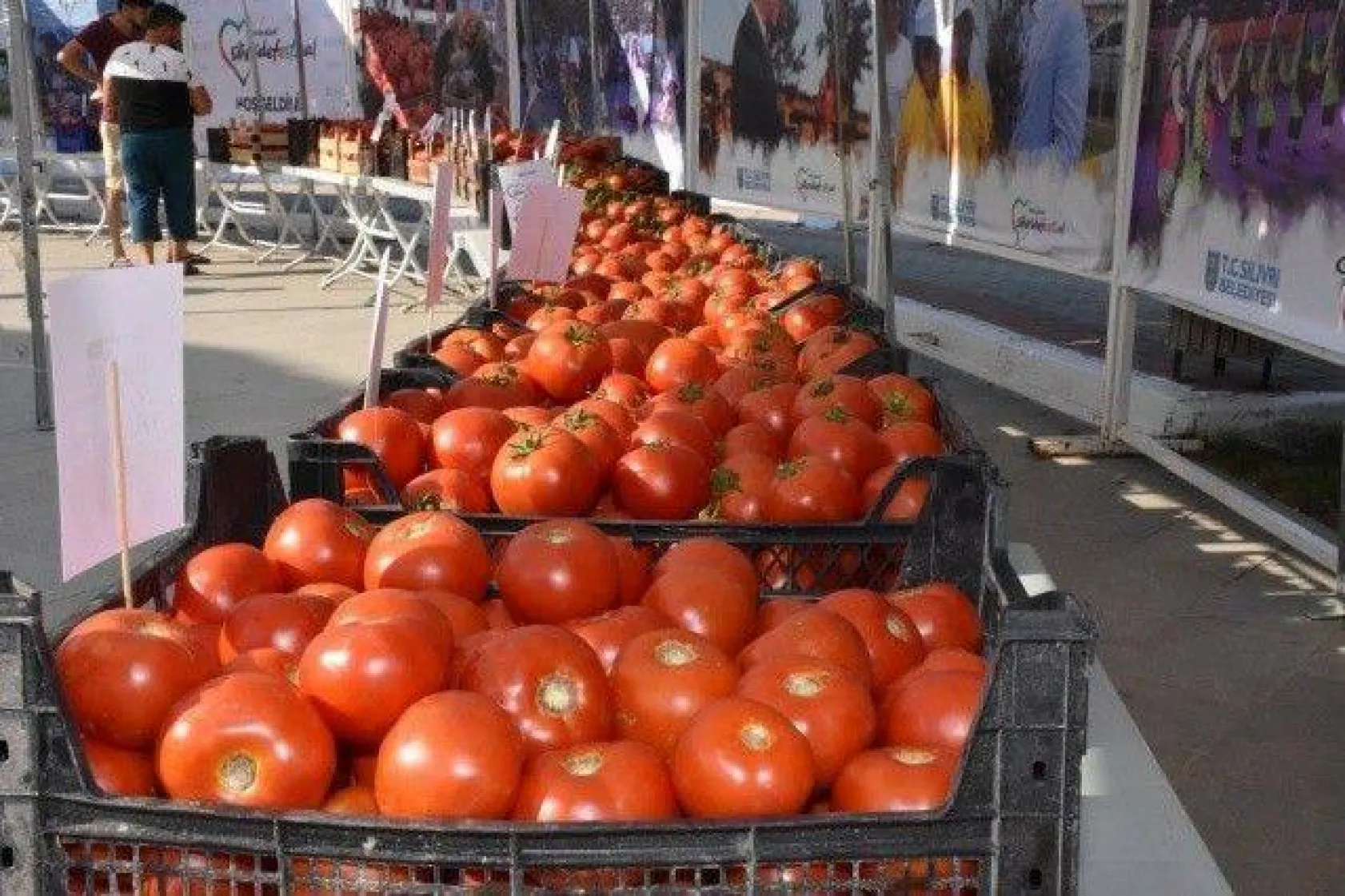 Domates Festivali'nde Köy Pazarı Müjdesi