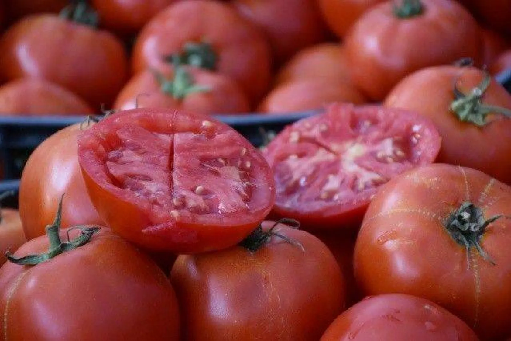 Domates Festivali'nde Köy Pazarı Müjdesi