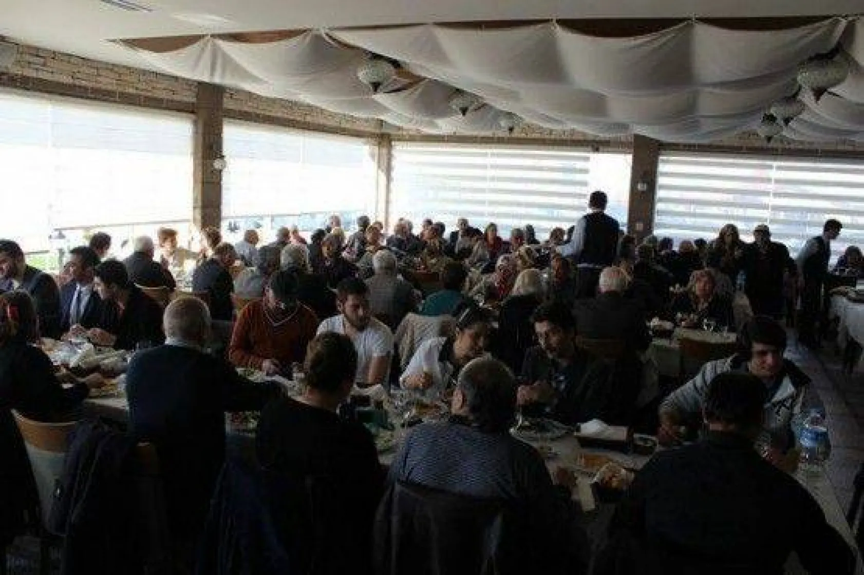 Sevgililer Günü, 30 Yıllık Çınarlar İle Kutlandı