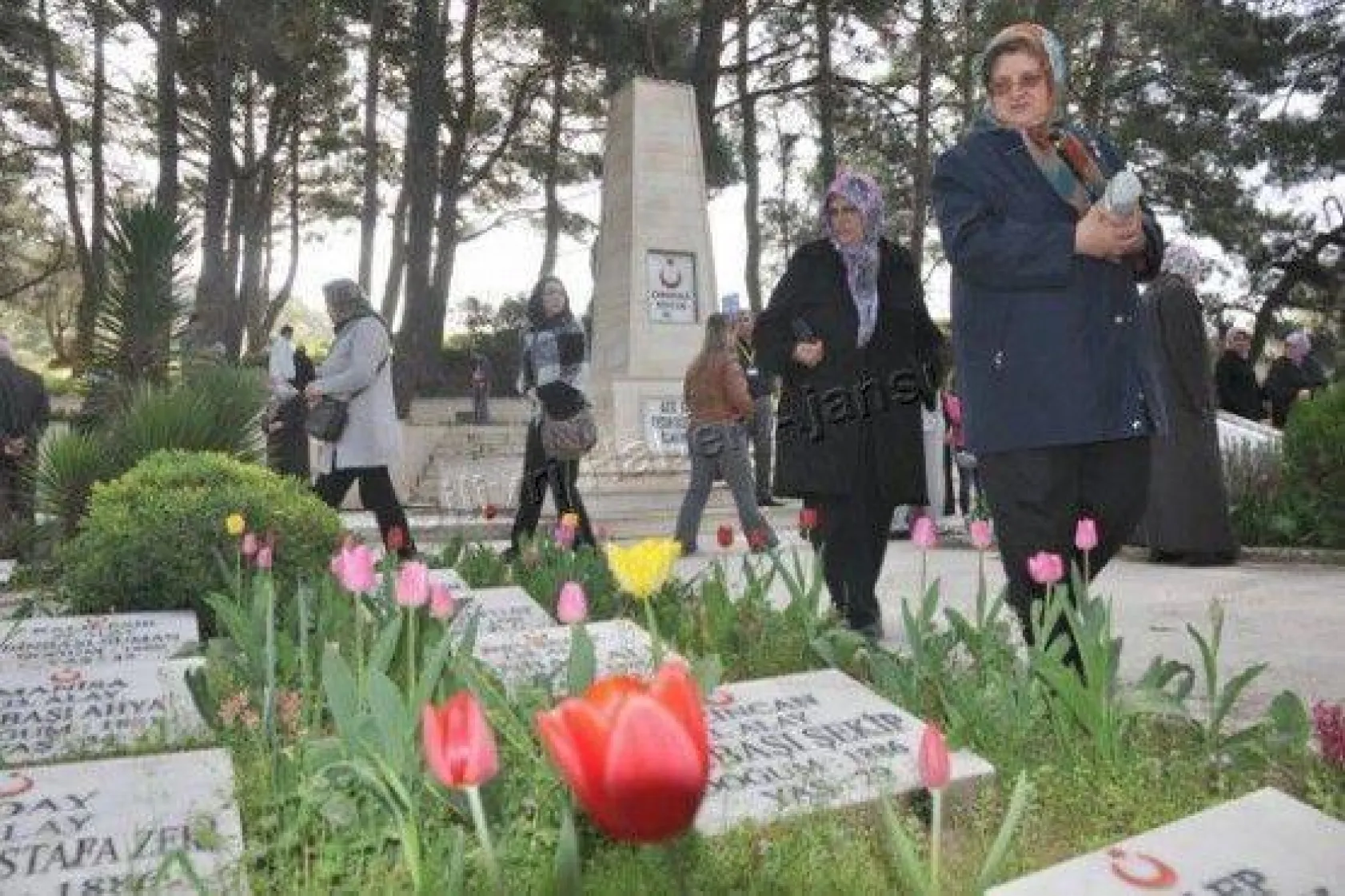 Silivrililer Çanakkale'ye çıkarma yaptı