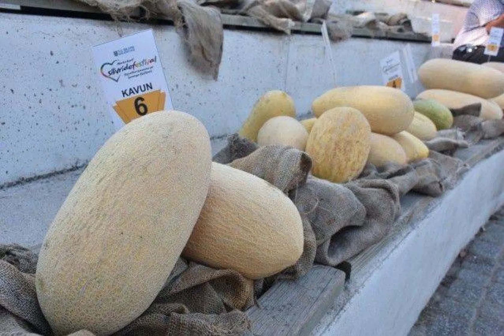 Silivri'de kavun ve bamya lezzetleri yarıştı