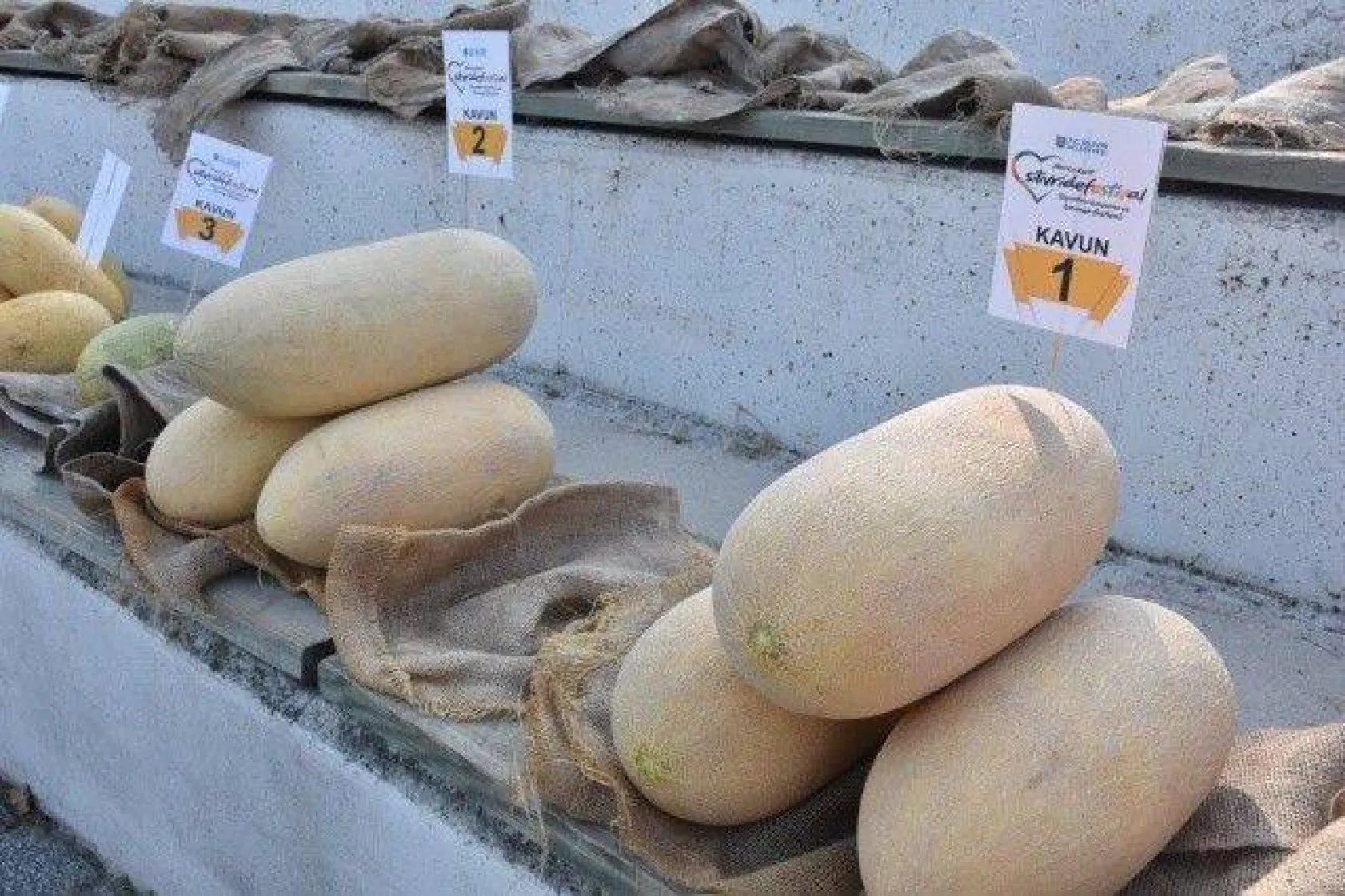 Silivri'de kavun ve bamya lezzetleri yarıştı