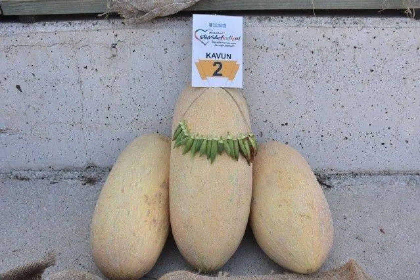 Silivri'de kavun ve bamya lezzetleri yarıştı