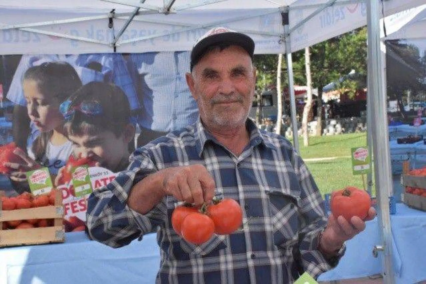 Silivri En İyi Domatesi ve 'Güzeli'ni Seçti