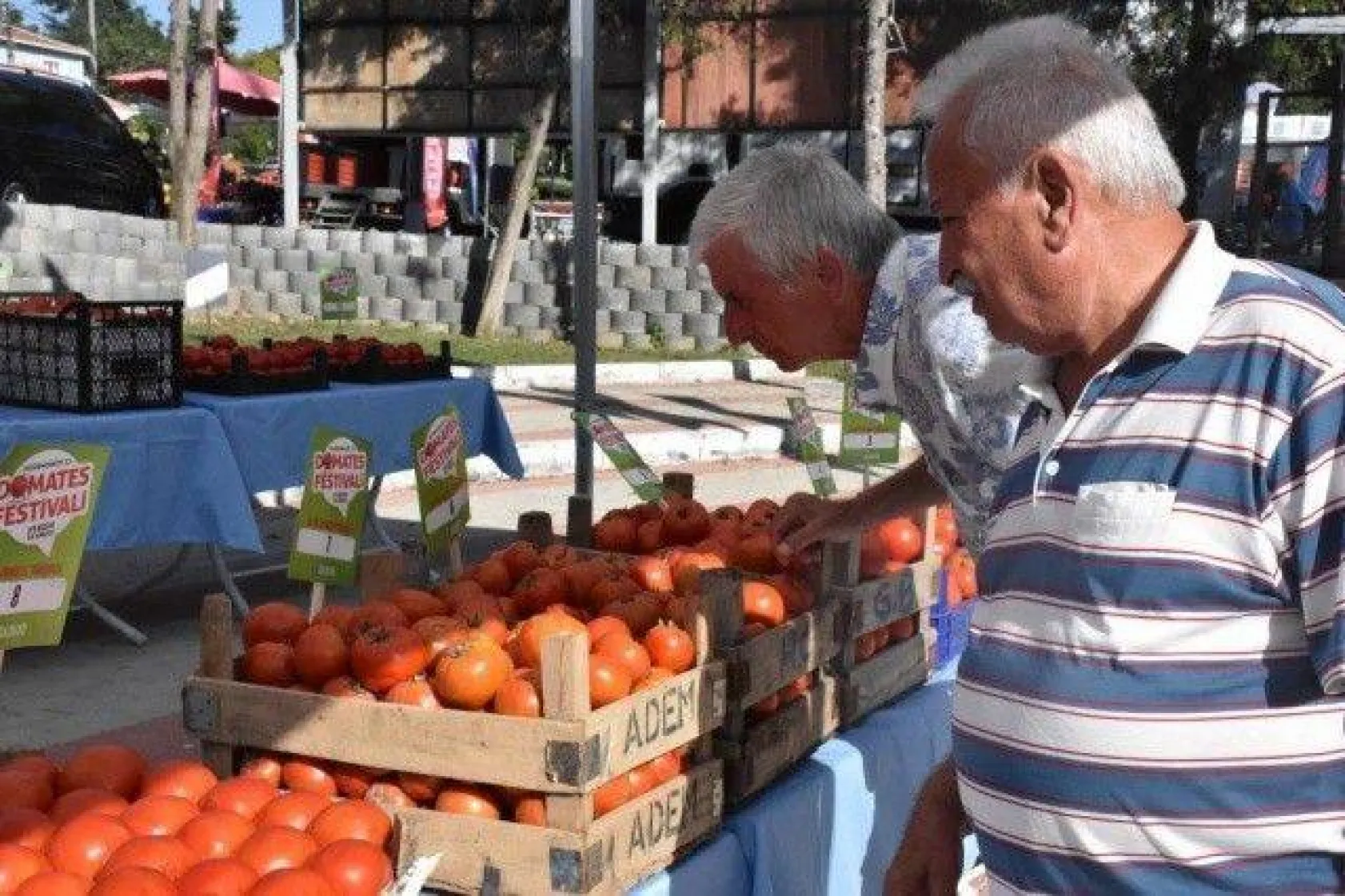 Silivri En İyi Domatesi ve 'Güzeli'ni Seçti