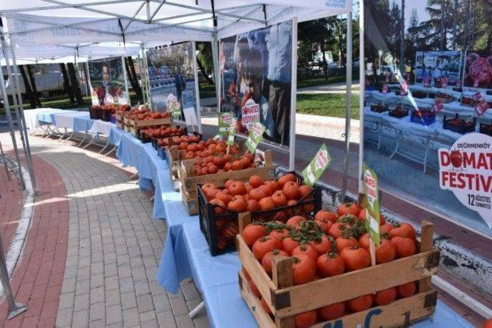 Silivri En İyi Domatesi ve 'Güzeli'ni Seçti