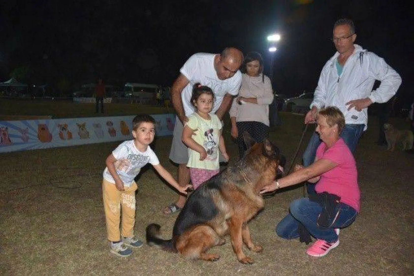 En İyi Köpek Irkları Silivri'deydi