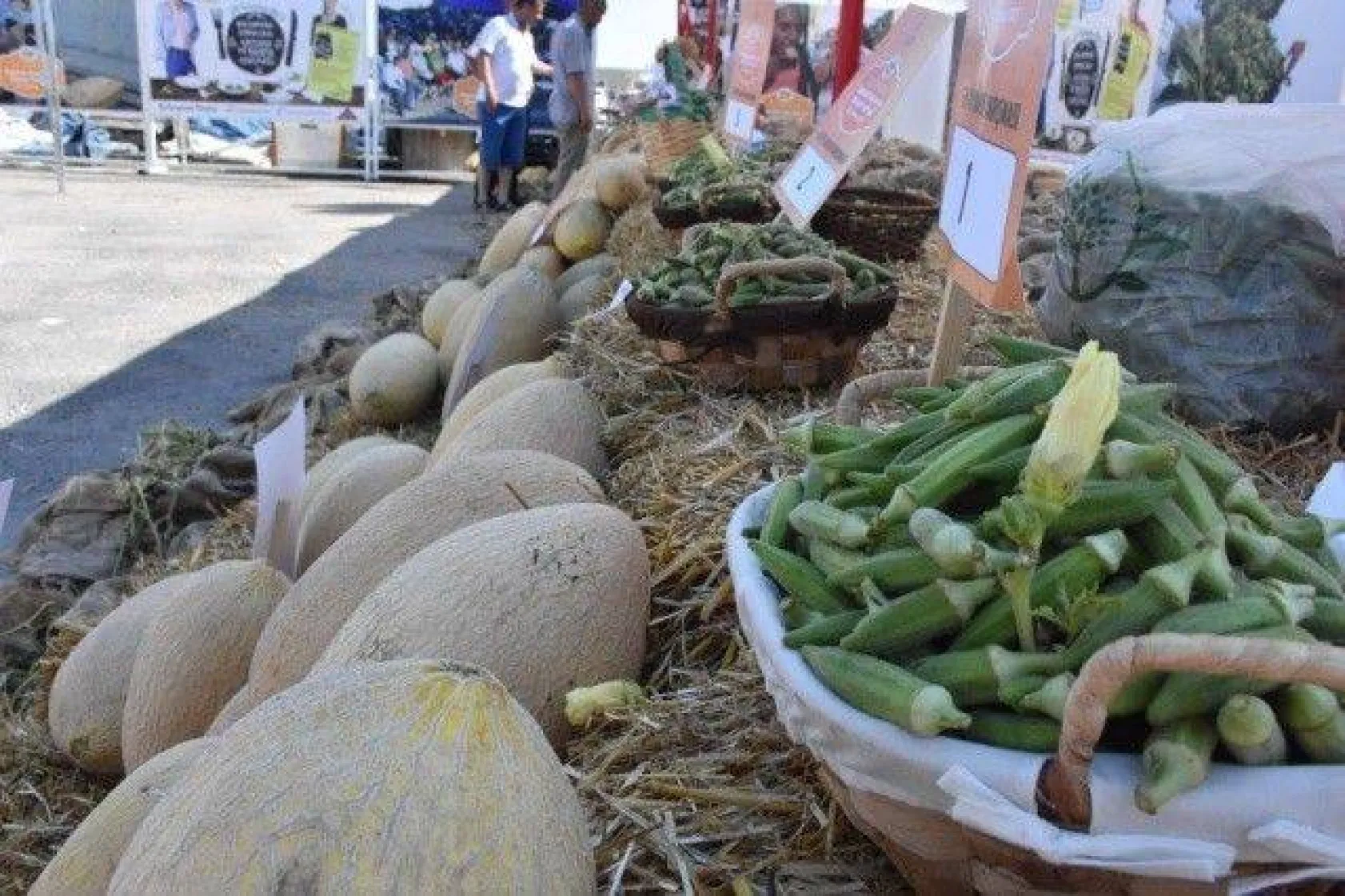 Selimpaşa'da Yılların Geleneği Bamya ve Kavun Festivali