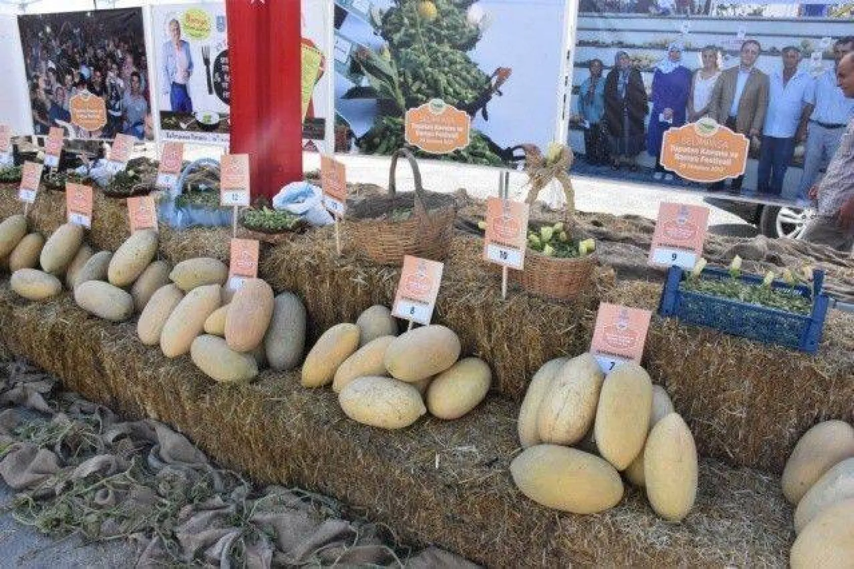 Selimpaşa'da Yılların Geleneği Bamya ve Kavun Festivali