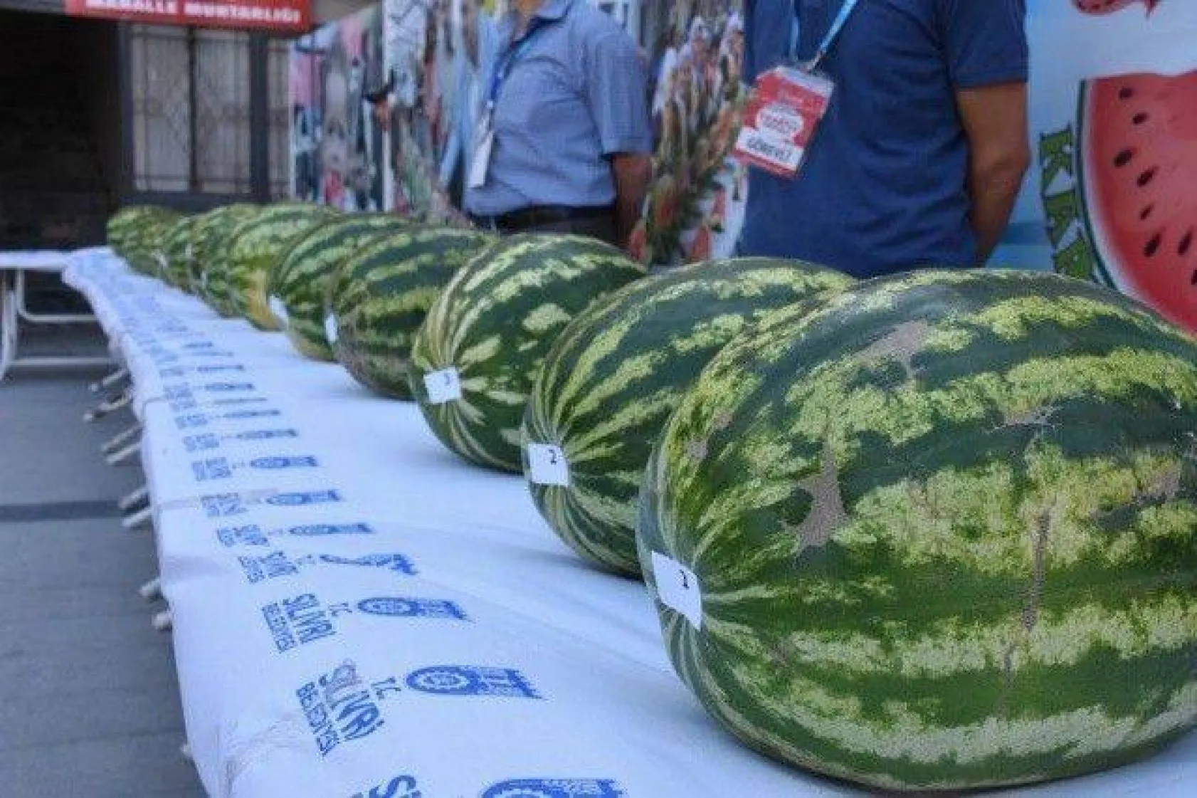 Kadıköy Karpuzda Çok İddialı