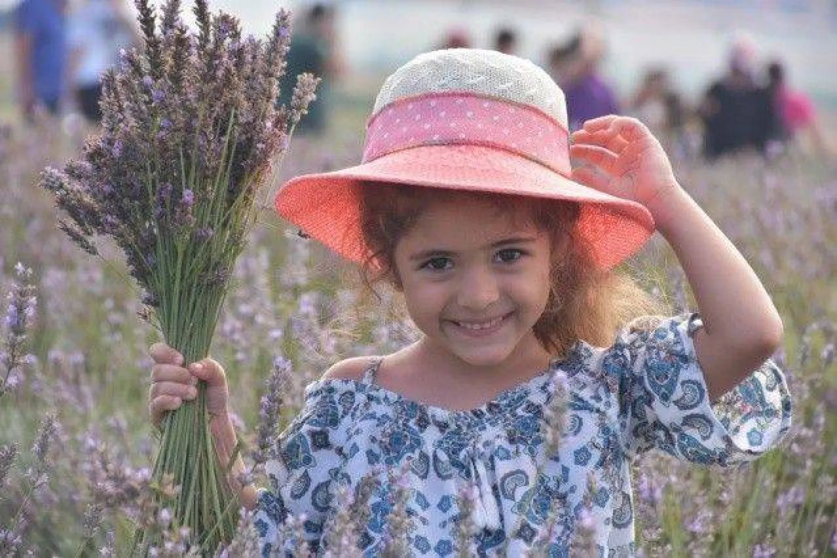 Lavanta Hasat Şenliği yapıldı