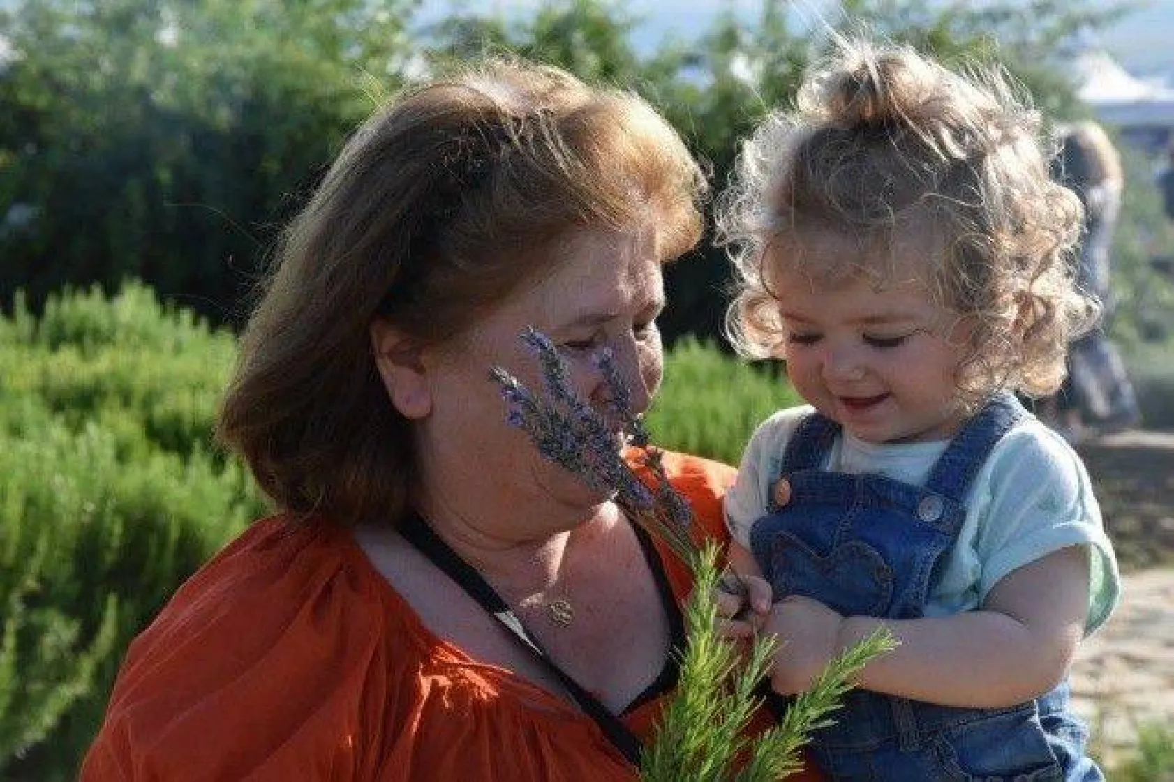 Lavanta Hasat Şenliği yapıldı
