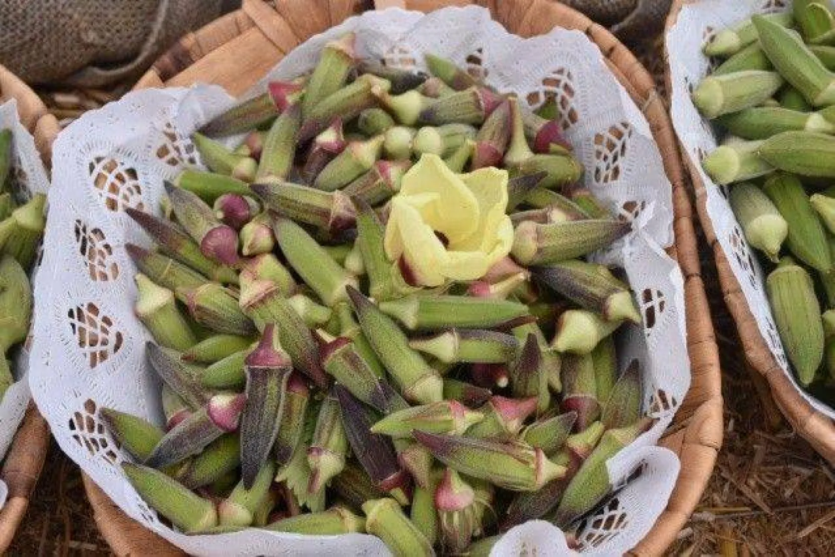 Selimpaşa'da lezzetli festival