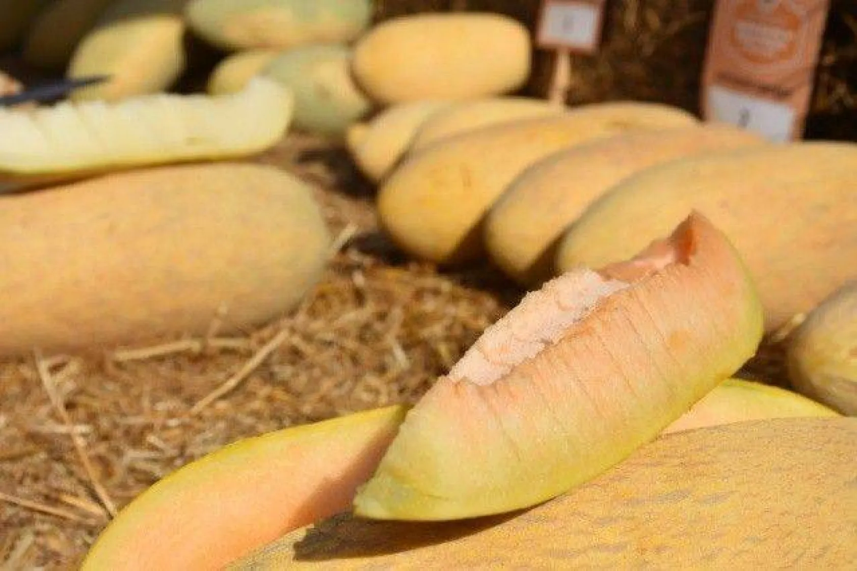 Selimpaşa'da lezzetli festival