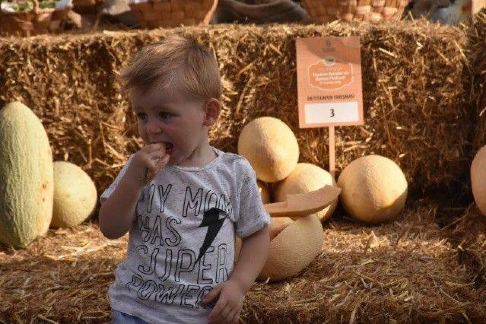 Selimpaşa'da lezzetli festival