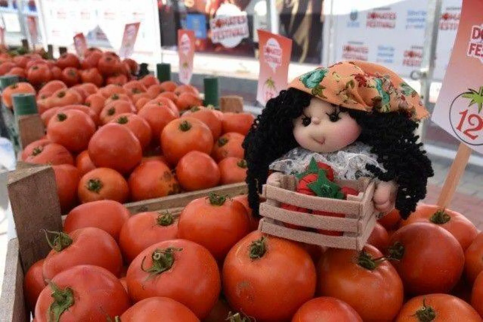 34 yıldır sürdürülen gelenek Domates Festivali