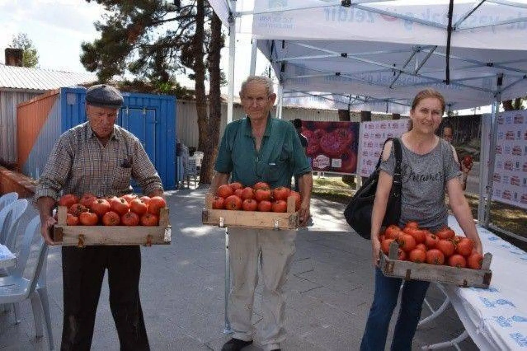 34 yıldır sürdürülen gelenek Domates Festivali