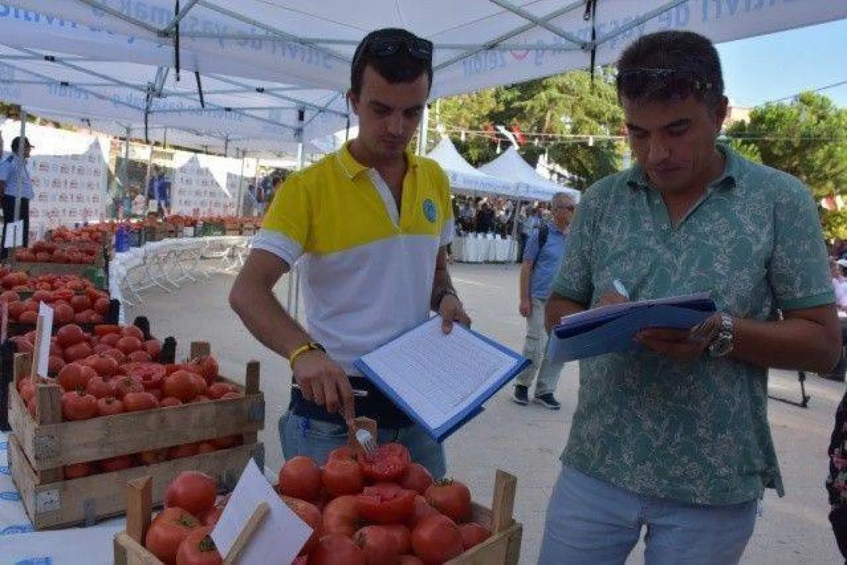 34 yıldır sürdürülen gelenek Domates Festivali