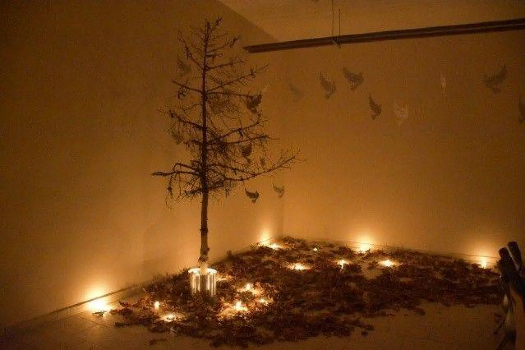 Tarım Lisesi Öğrencileri Atamızı Unutmadı