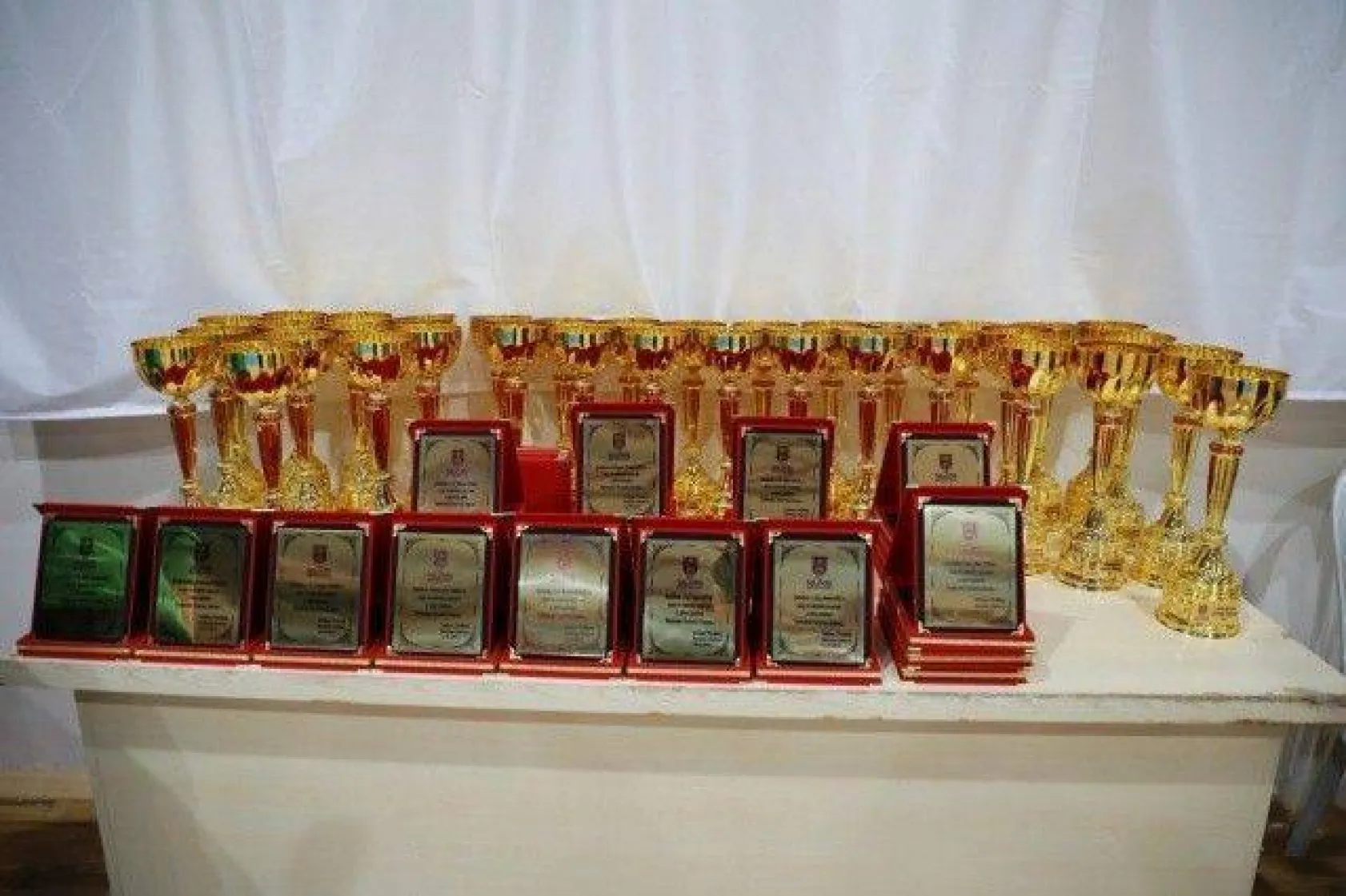 Şehitler Anısına Taekwondo Turnuvası Düzenlendi