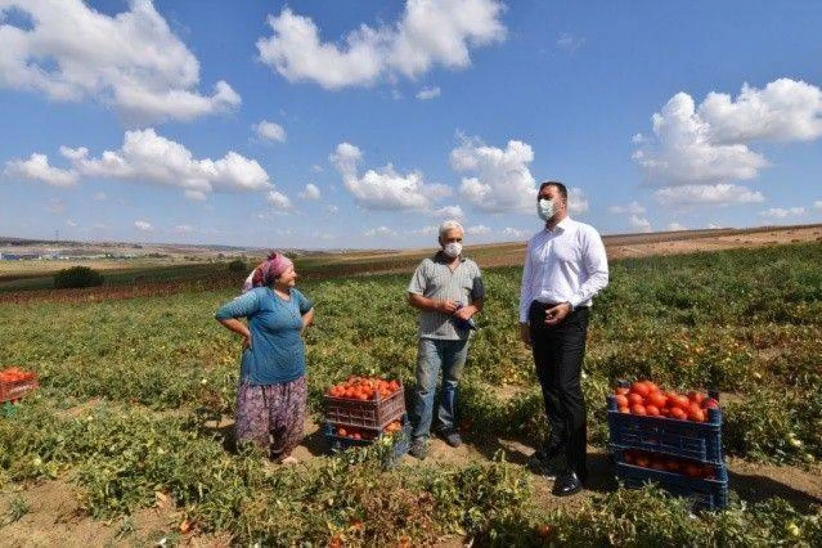 Başkan Yılmaz Karpuz ve Domates Hasadı Yaptı