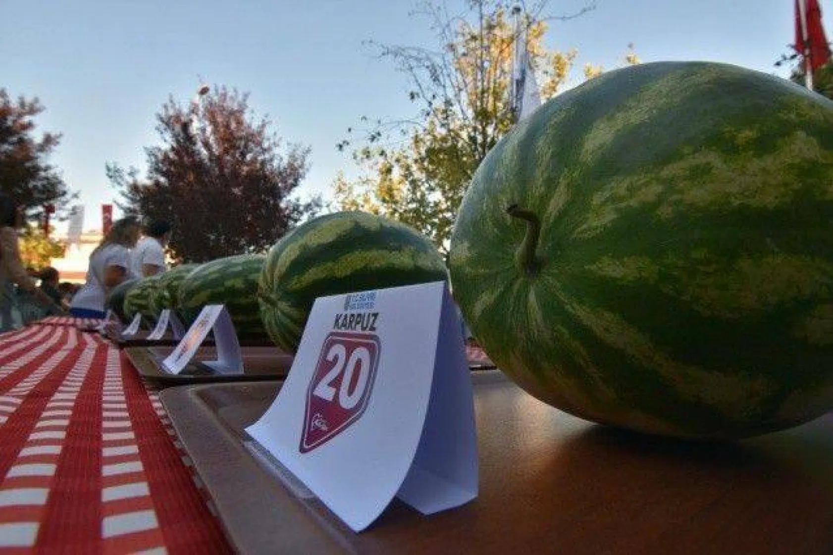 Silivri Kadıköy'de En İyi Karpuz Üreticileri Yarıştı