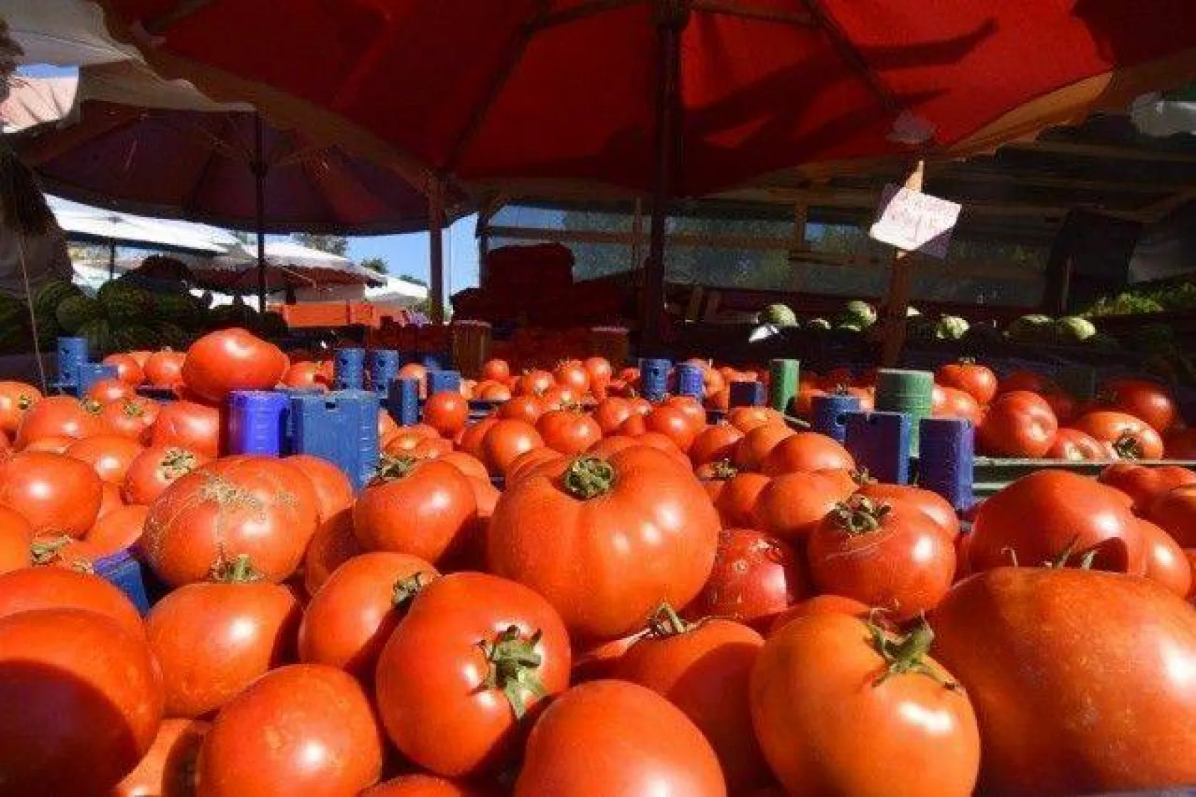 Başkan Yılmaz'dan Değirmenköy'e İki Müjde