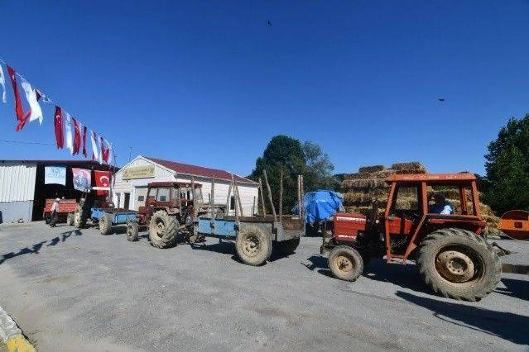 Silivri'de Coşkulu Saman Dağıtım Töreni