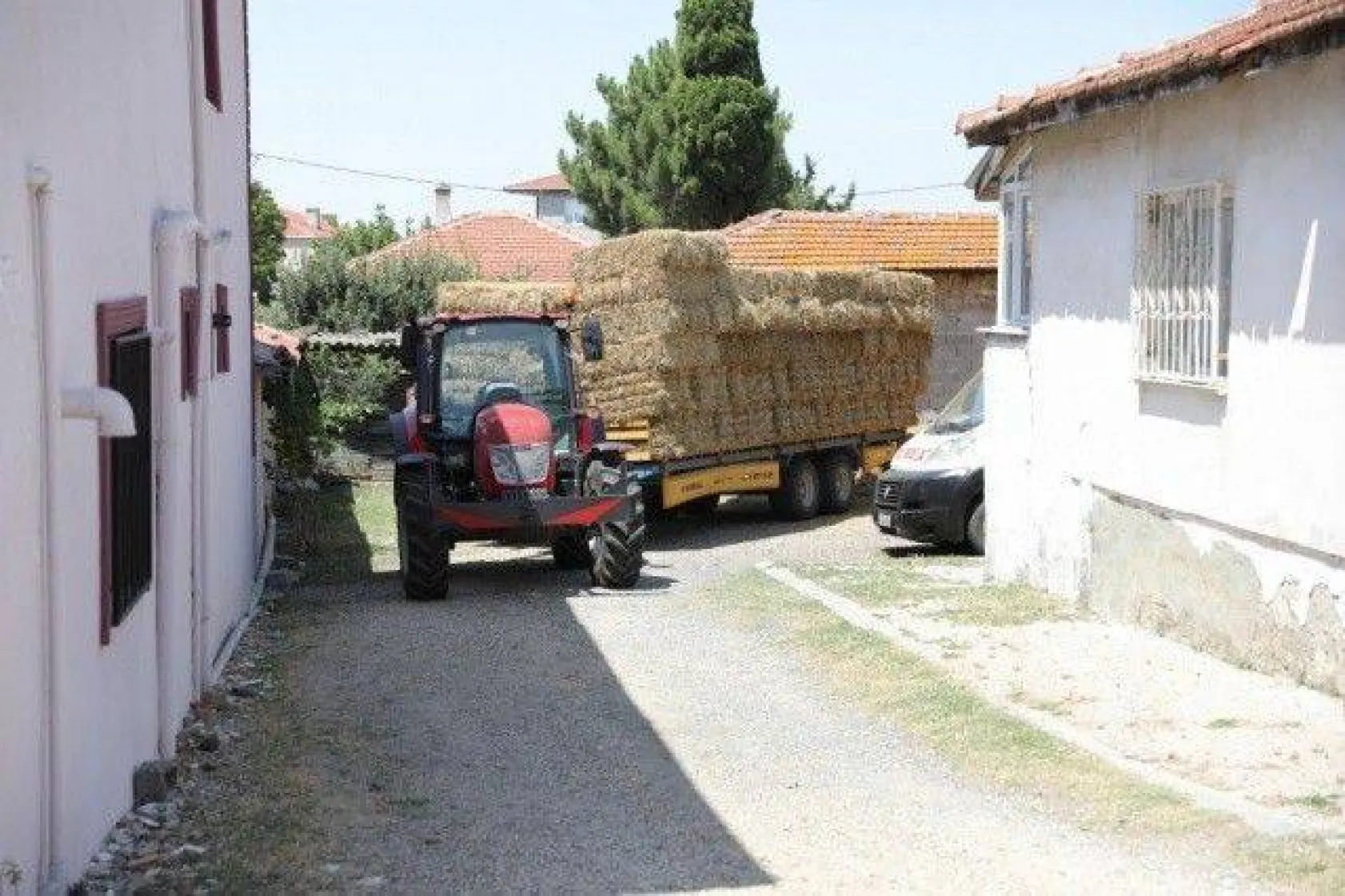 Silivri Belediyesinden Türkiye'de Eşi Görülmemiş Tohumluk Arpa Desteği