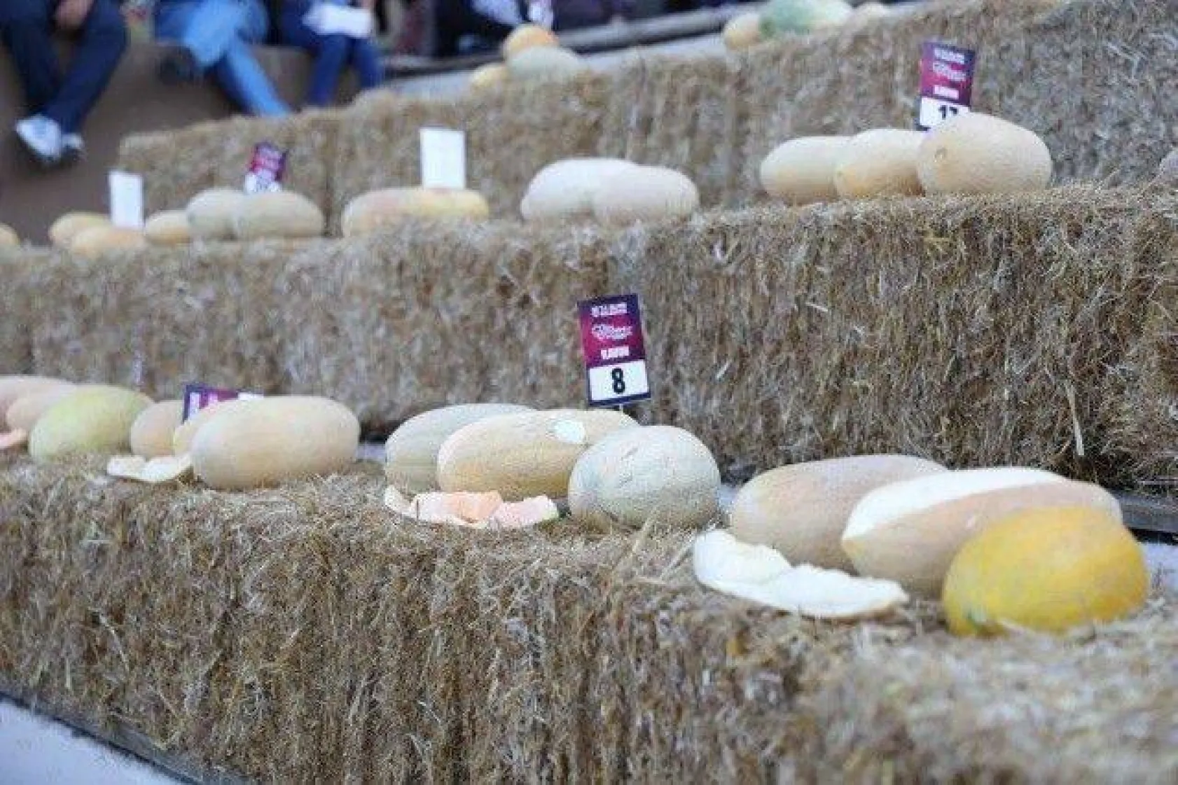 Selimpaşa'nın Kavunları ve Bamyaları Yarıştı