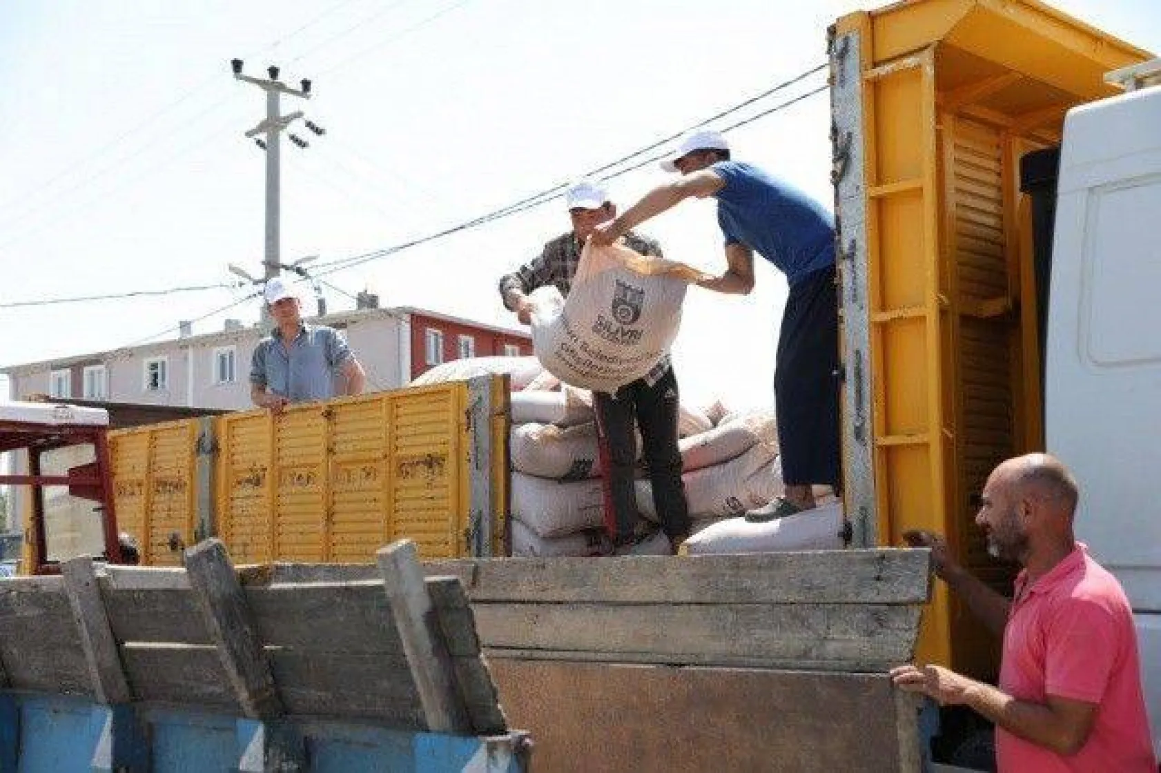 Sayalar'da Tohumluk Arpa Coşkusu Yaşandı