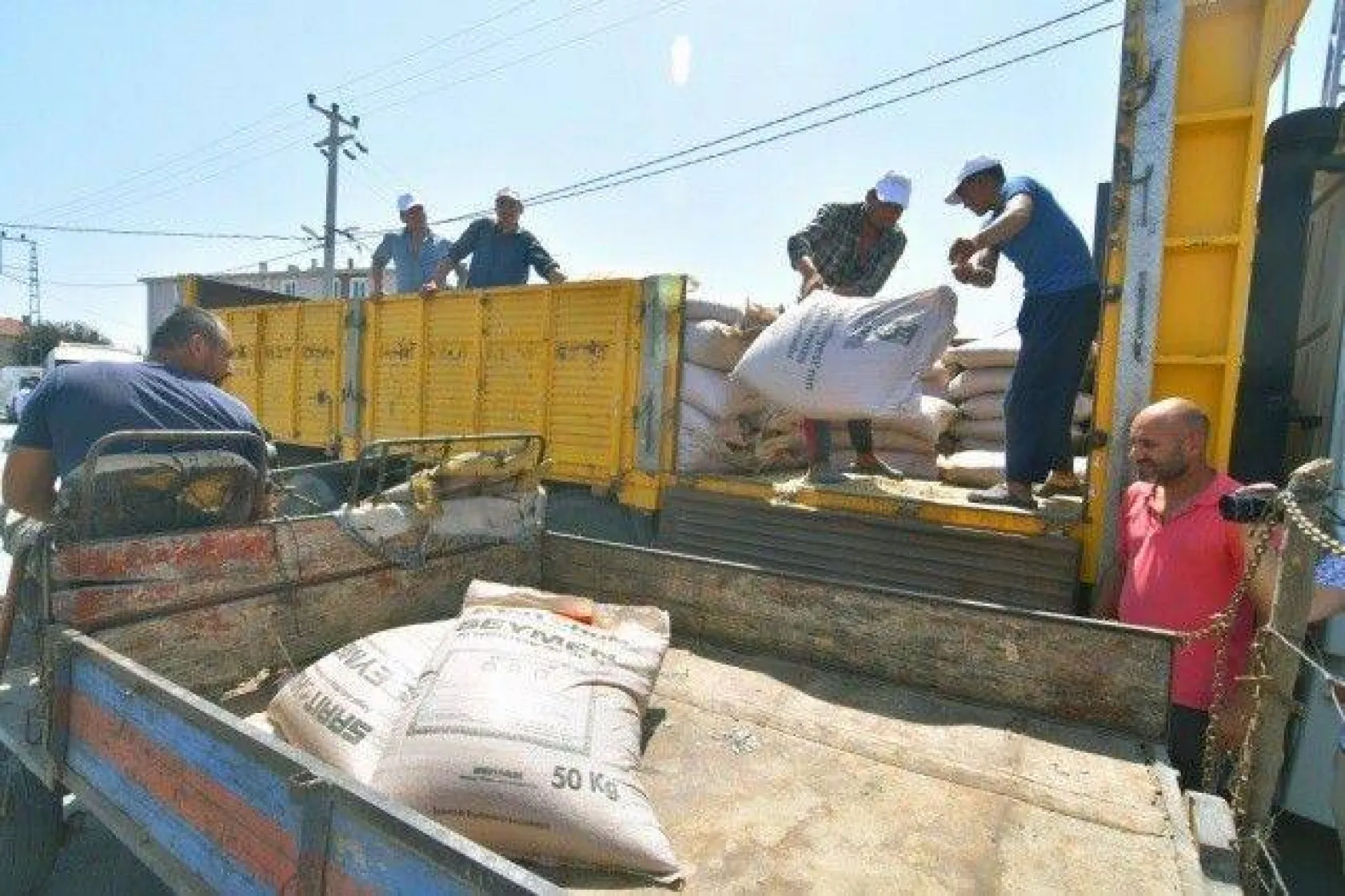 Sayalar'da Tohumluk Arpa Coşkusu Yaşandı