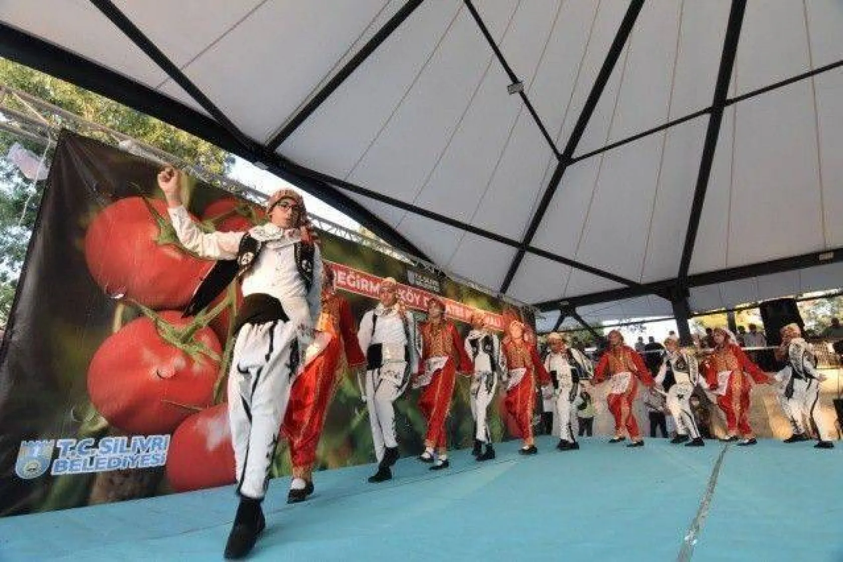 Değirmenköy'de Domatesler Yarıştı