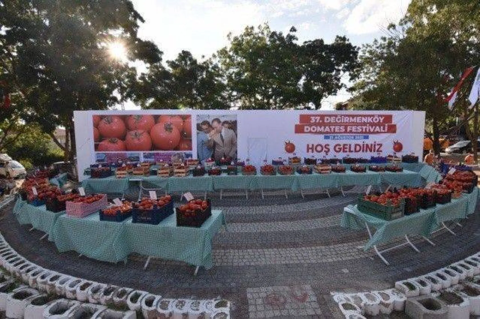 Değirmenköy'de Domatesler Yarıştı