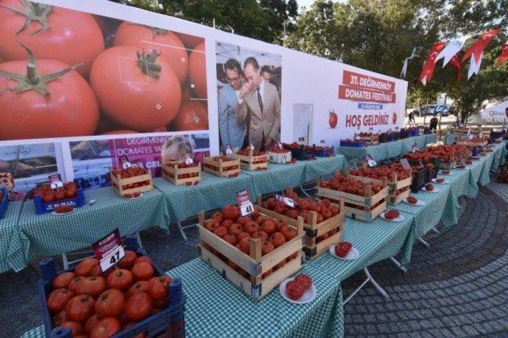 Değirmenköy'de Domatesler Yarıştı